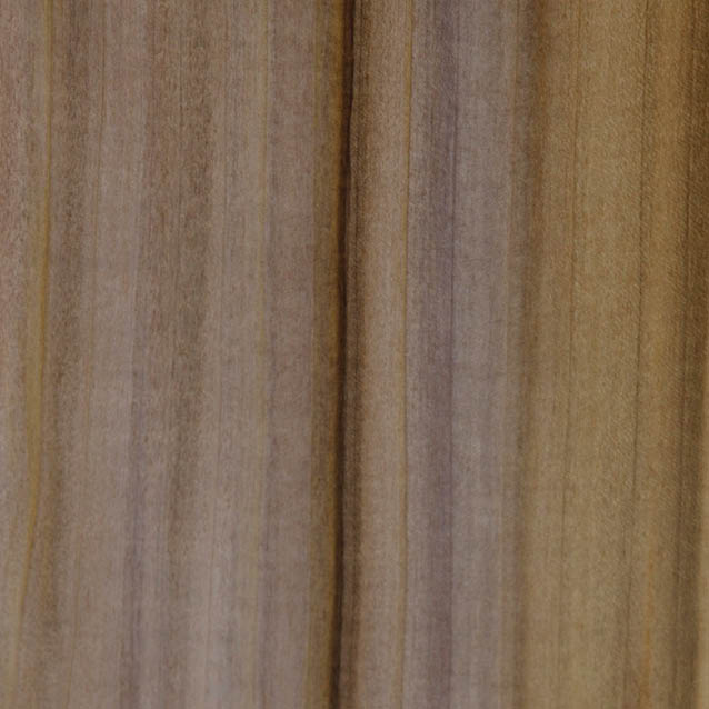 Tulip Tree. The most beautiful veneers and woods for the best cigar cabinets in the world for the best cigar storage