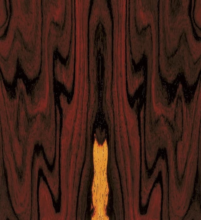 Cocobolo. Beautiful veneer for a humidor for the best cigar storage