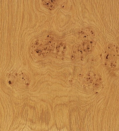 GERBER Humidor Oak Burl - exclusive woods & veneers