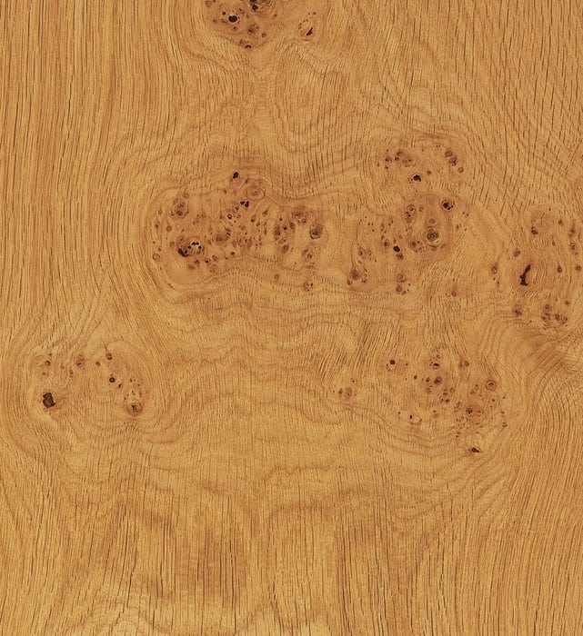 Knotty Oak - expressive wood for your humidor