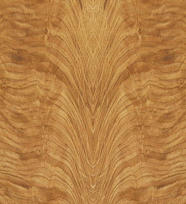Oak Crotch. Beautiful veneer for a humidor for the best cigar storage