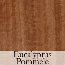 Eucalyptus Pommele