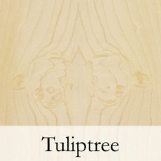 Tuliptree